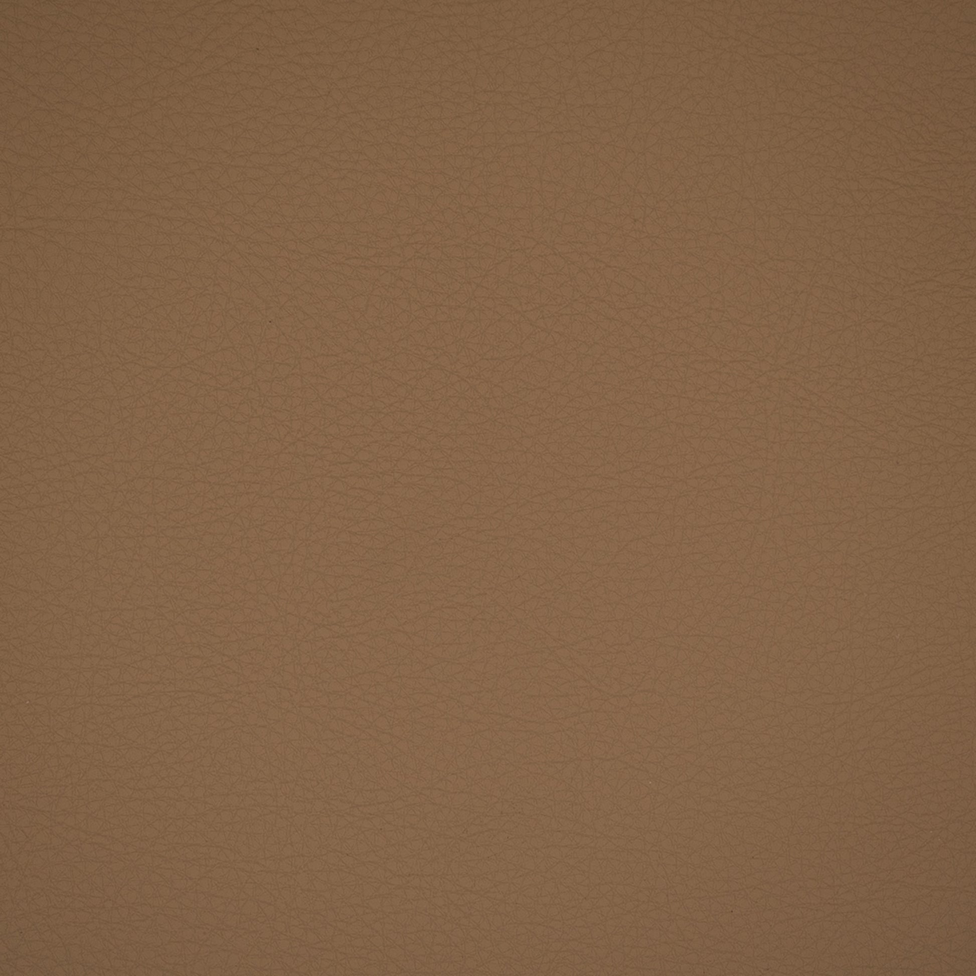 Purchase Greenhouse Fabric F4949 Fawn