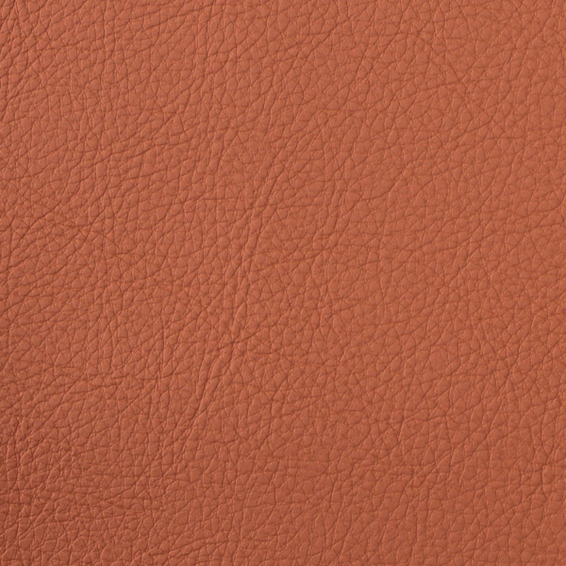 Purchase Greenhouse Fabric F4995 Persimmon