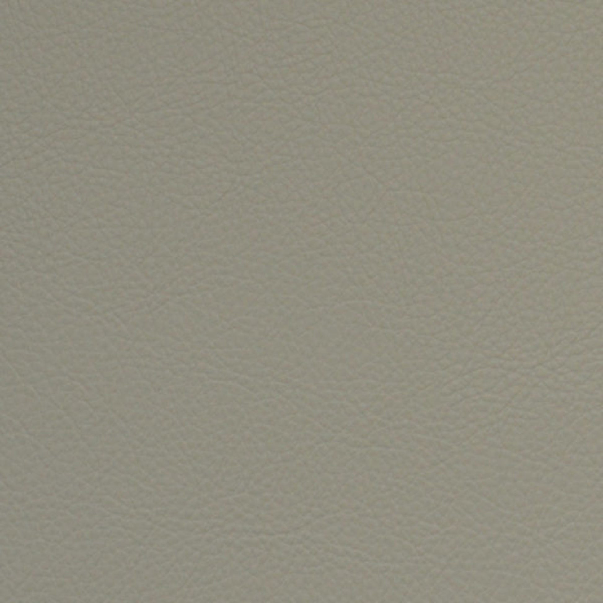 Purchase Greenhouse Fabric F5006 Gypsum