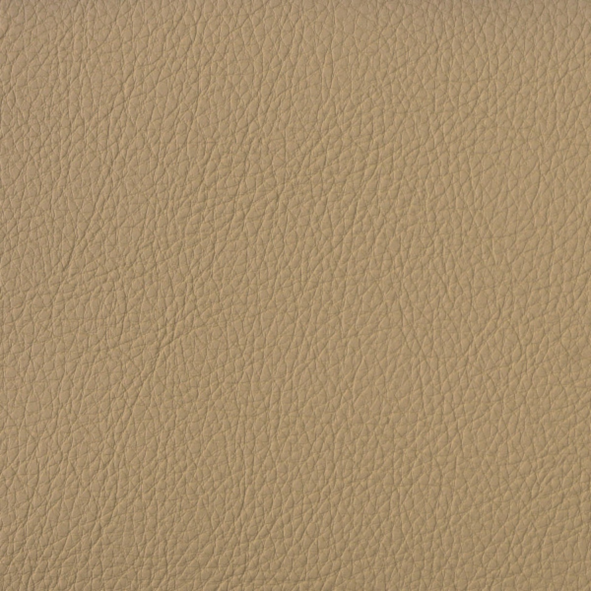 Purchase Greenhouse Fabric F5028 Buff