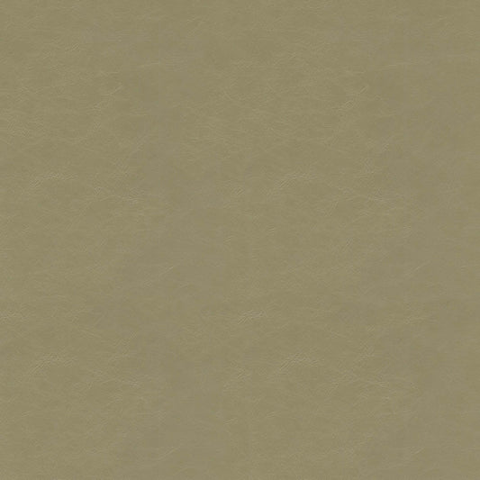 Purchase Greenhouse Fabric F5057 Cement