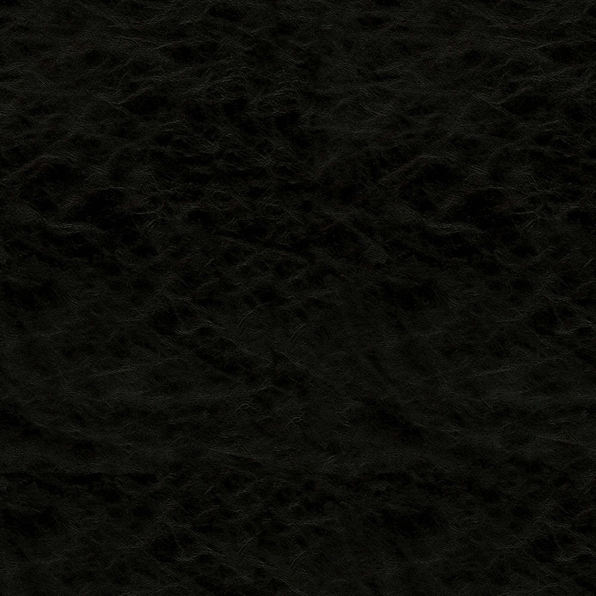 Purchase Greenhouse Fabric F5069 Black