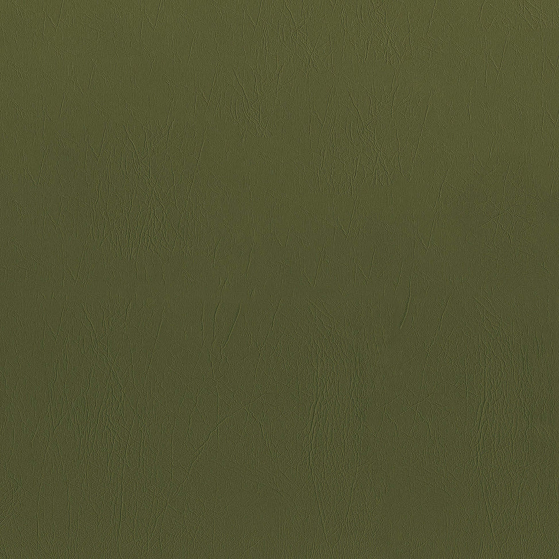 Purchase Greenhouse Fabric F5077 Fern