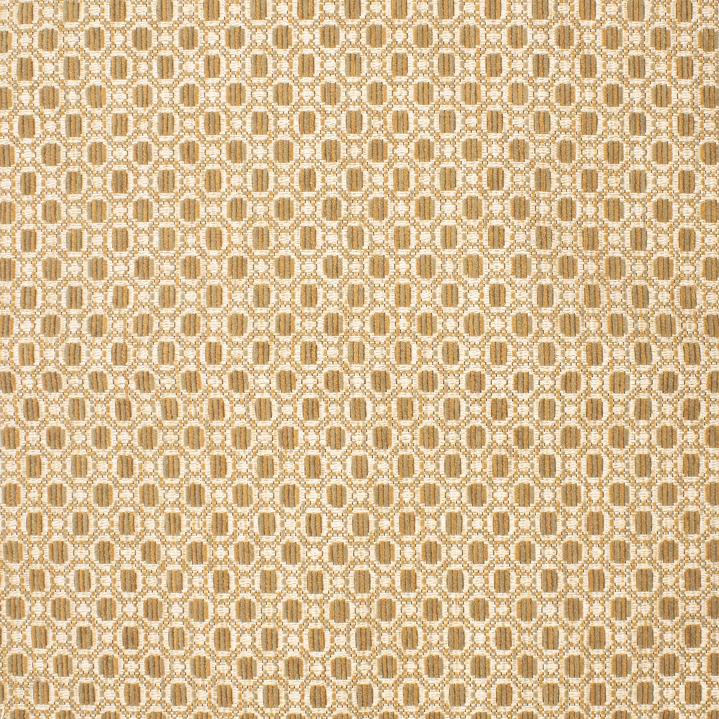Purchase Greenhouse Fabric F5200 Gold