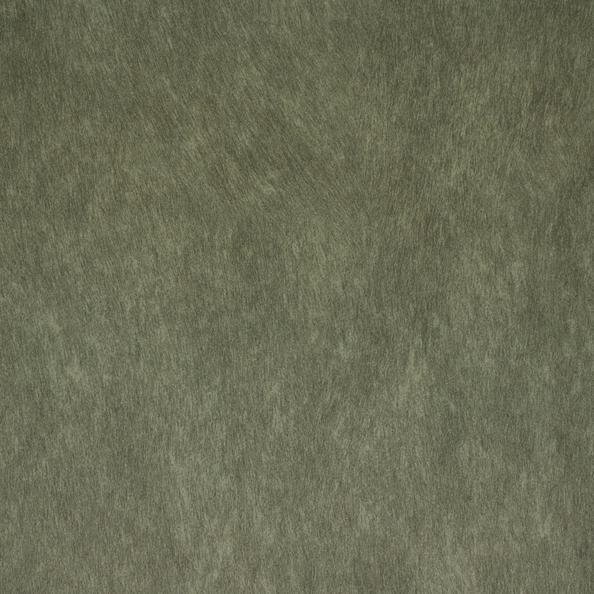 Purchase Greenhouse Fabric F5229 Caper