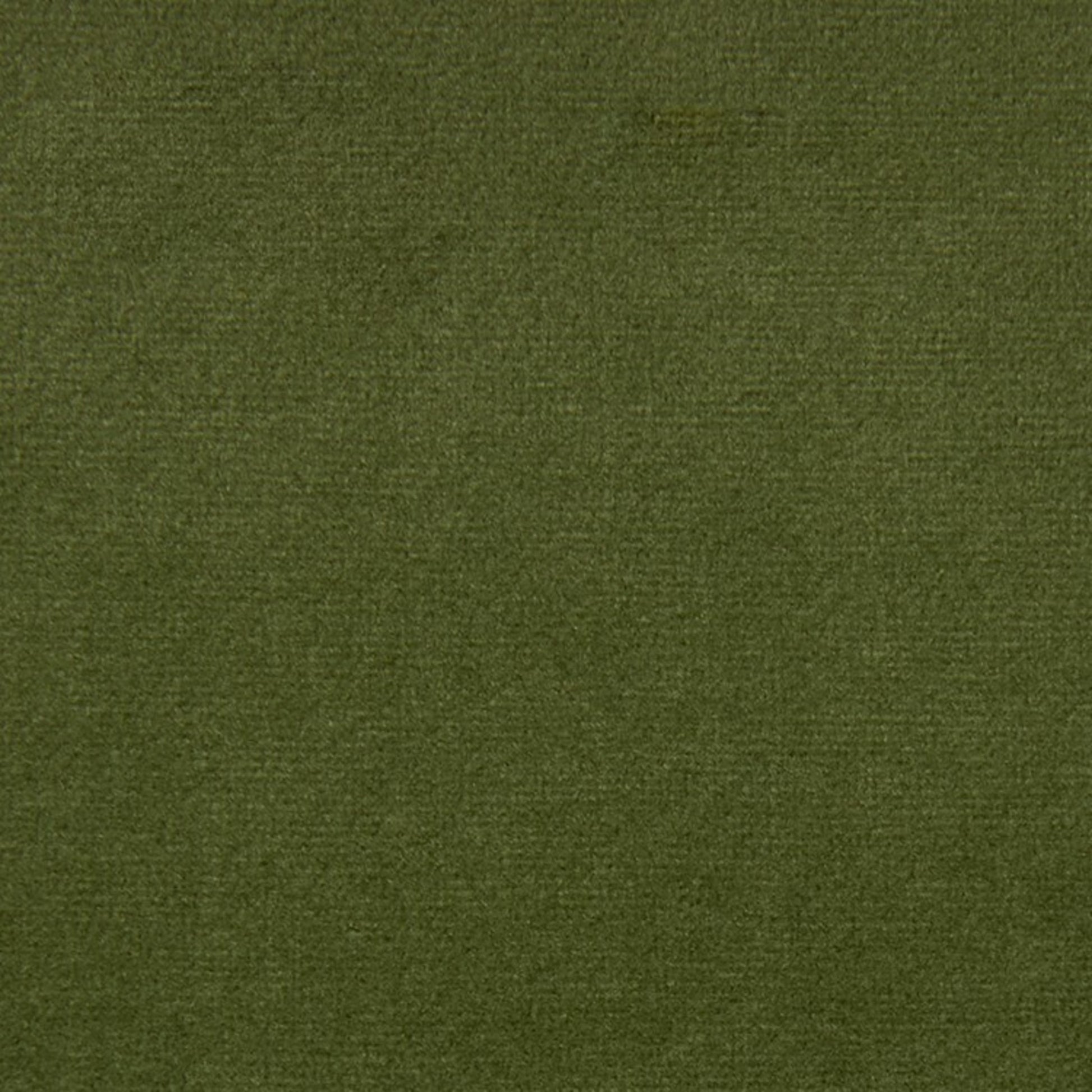 Purchase Greenhouse Fabric F5335 Dill