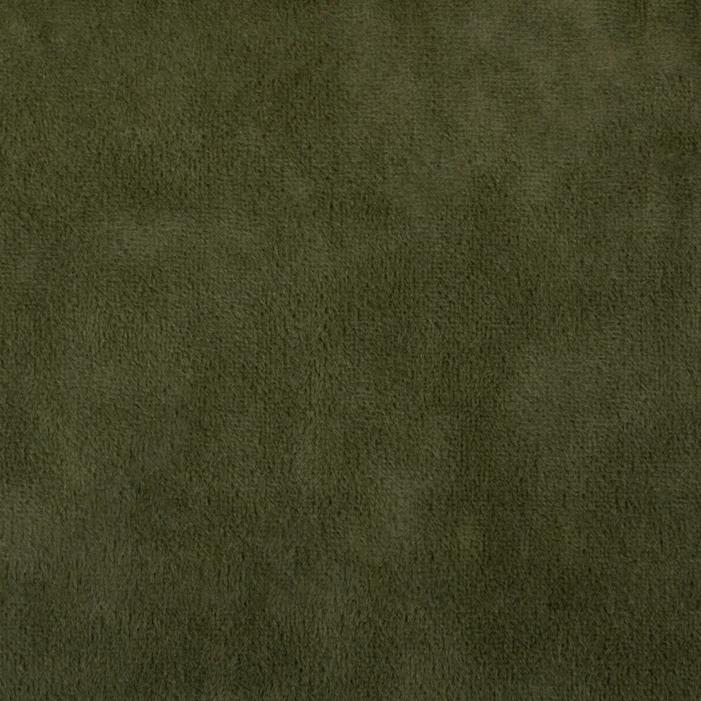 Purchase Greenhouse Fabric F5336 Clover