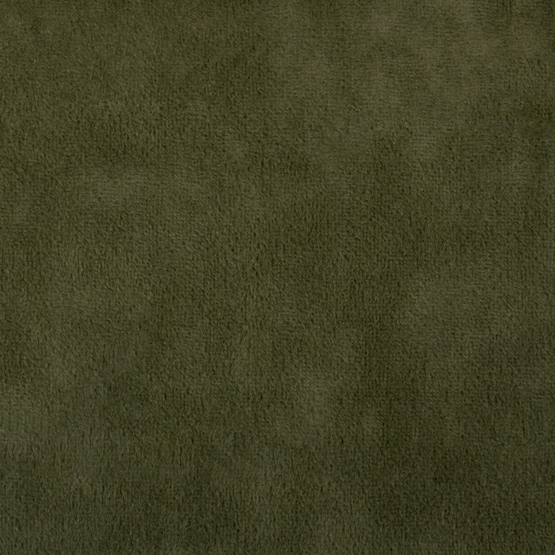 Purchase Greenhouse Fabric F5336 Clover