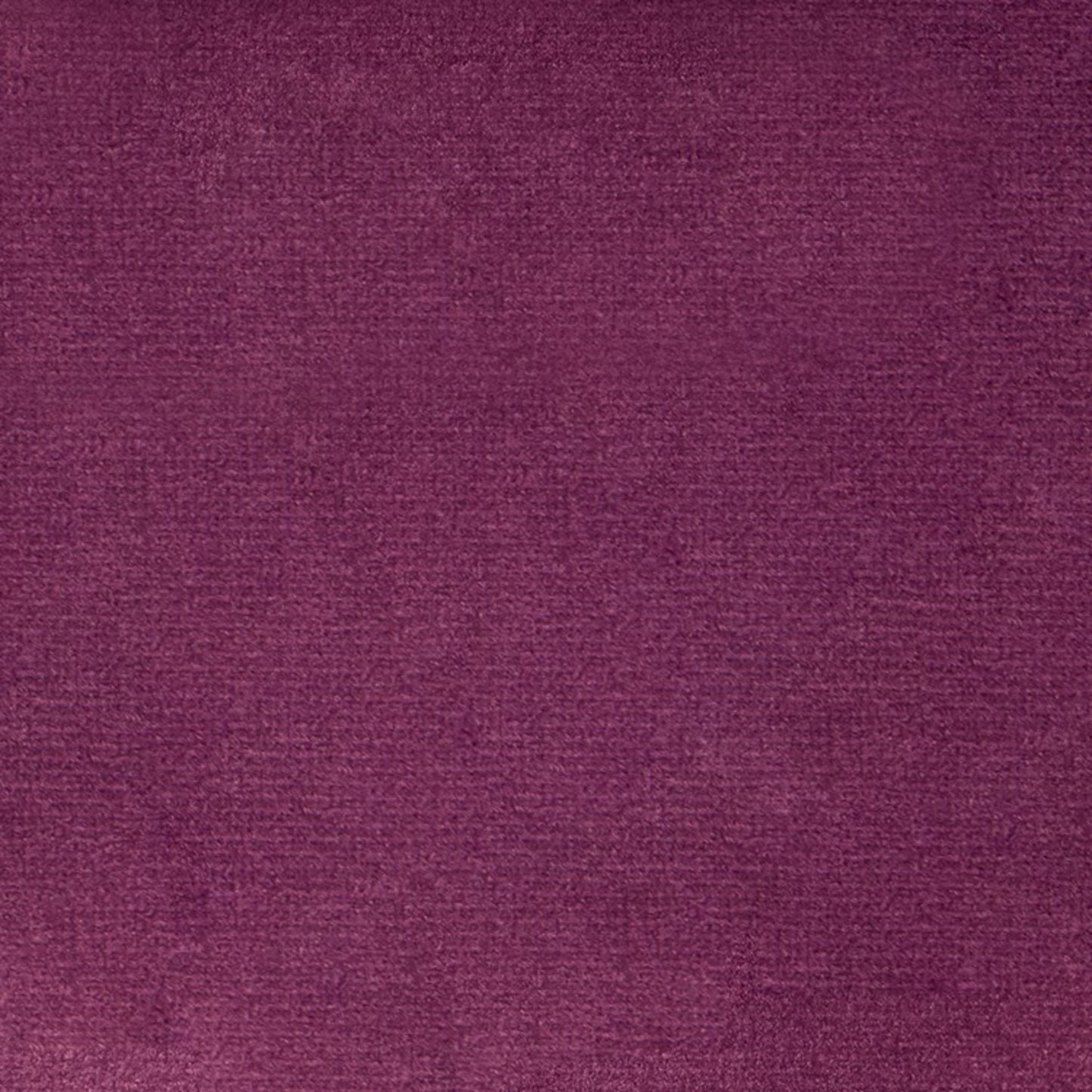 Purchase Greenhouse Fabric F5349 Mulberry