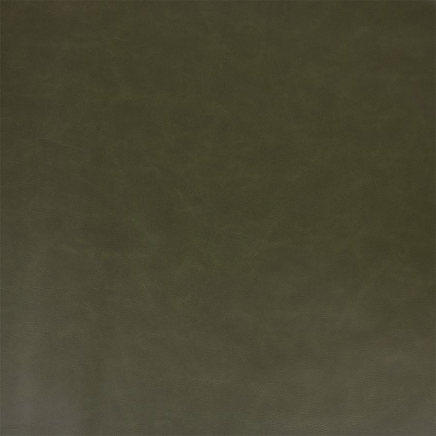 Purchase Greenhouse Fabric F5995 Cactus