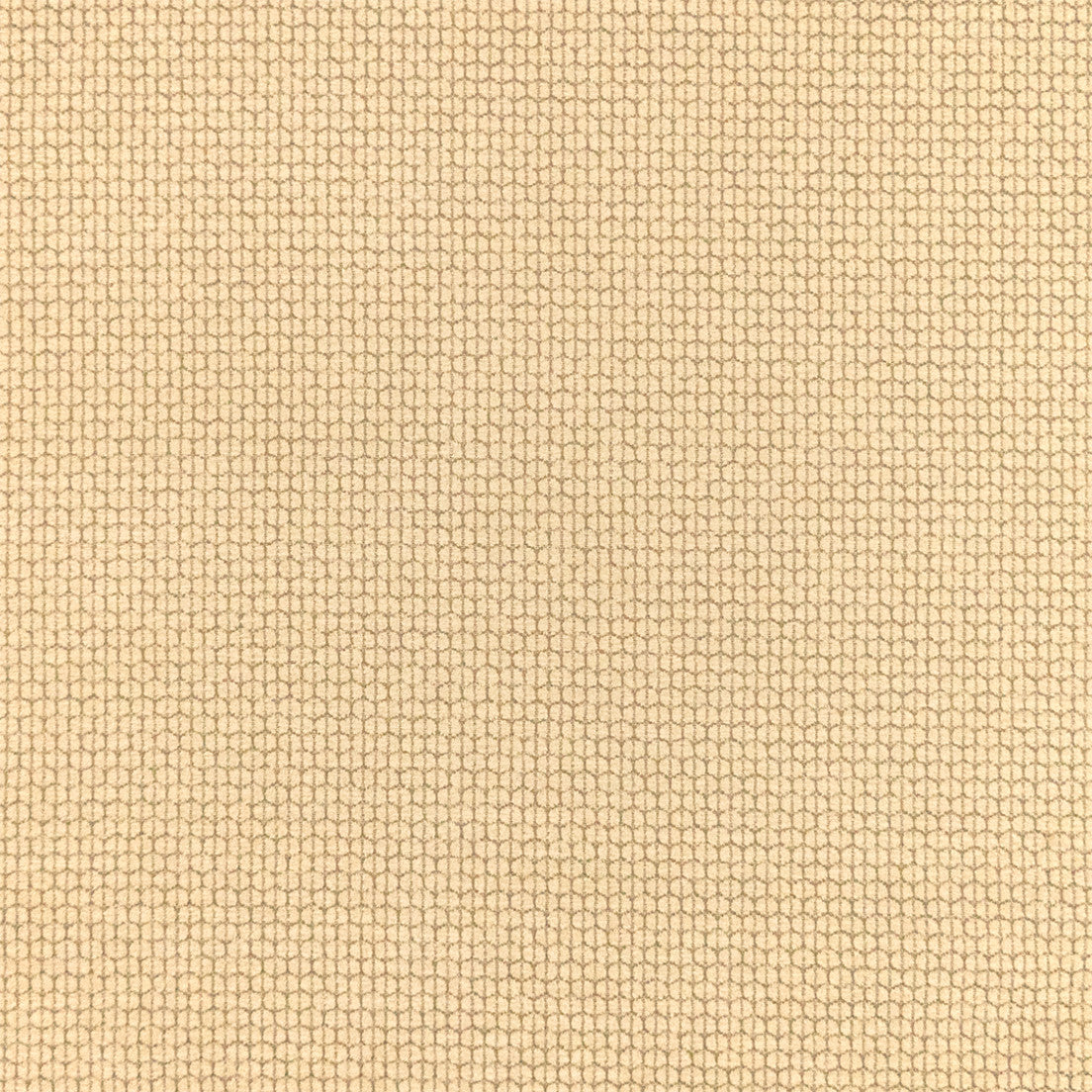 Purchase Greenhouse Fabric F6448 Opal