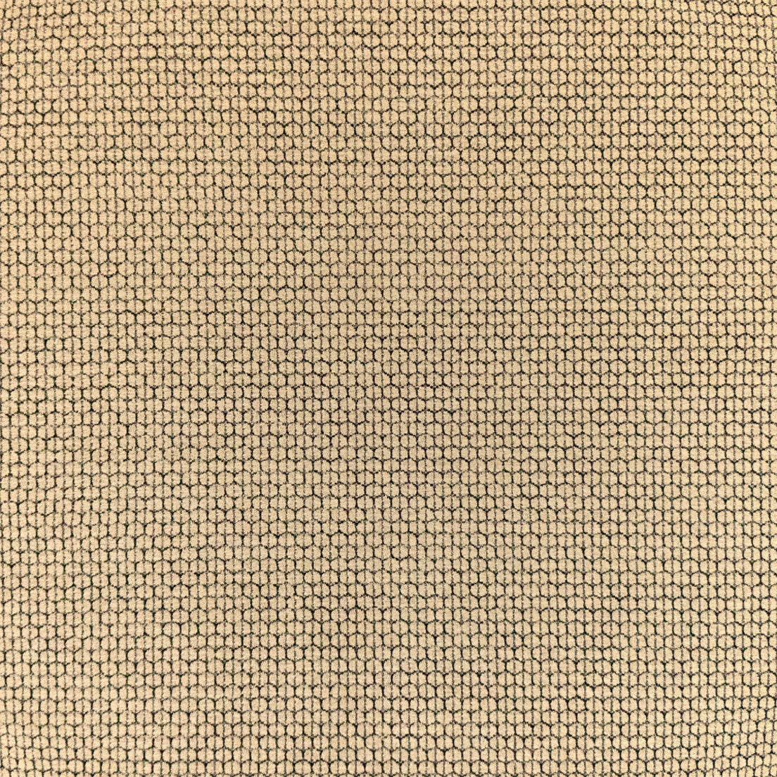 Purchase Greenhouse Fabric F6456 Tuxedo