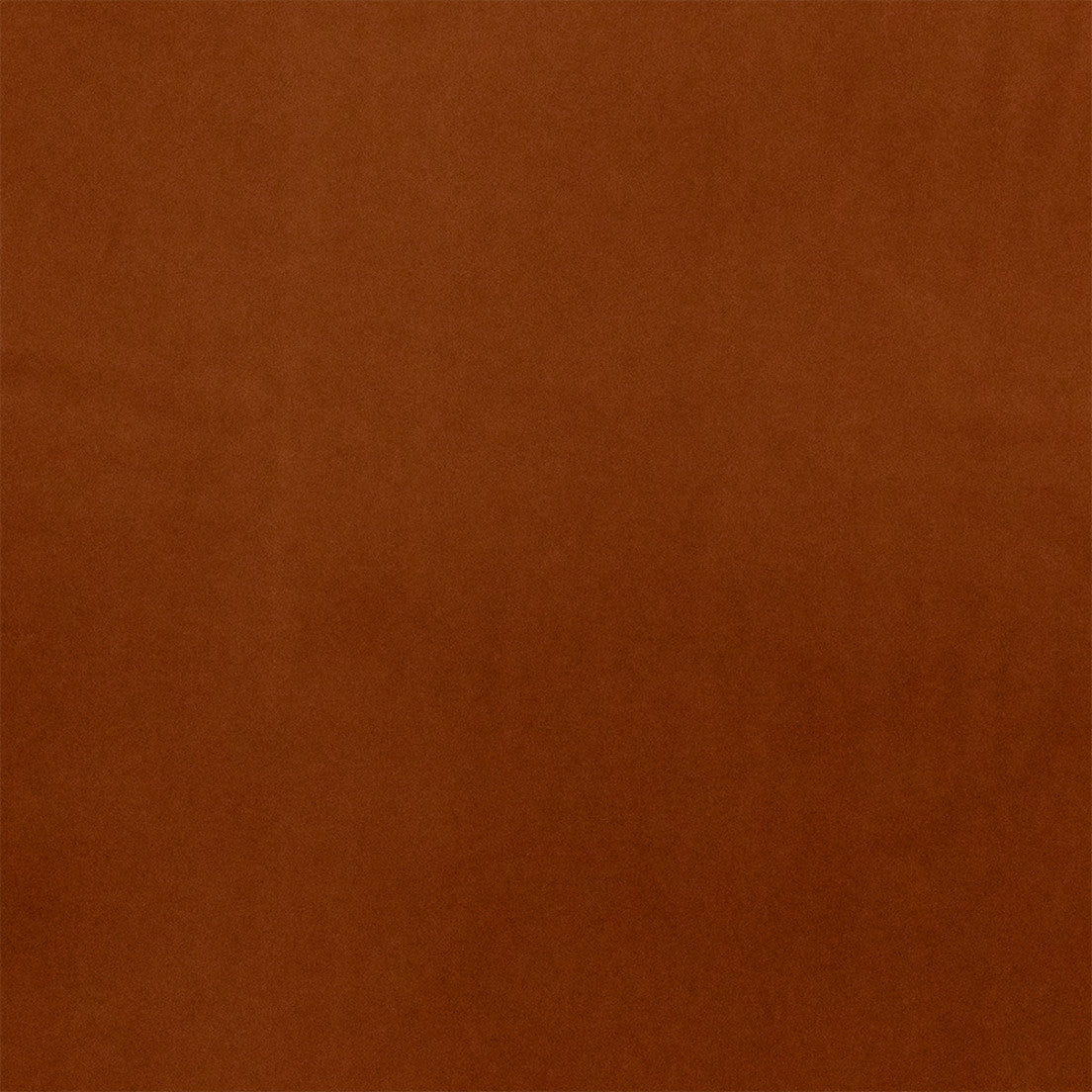 Purchase Greenhouse Fabric F6526 Gingerbread