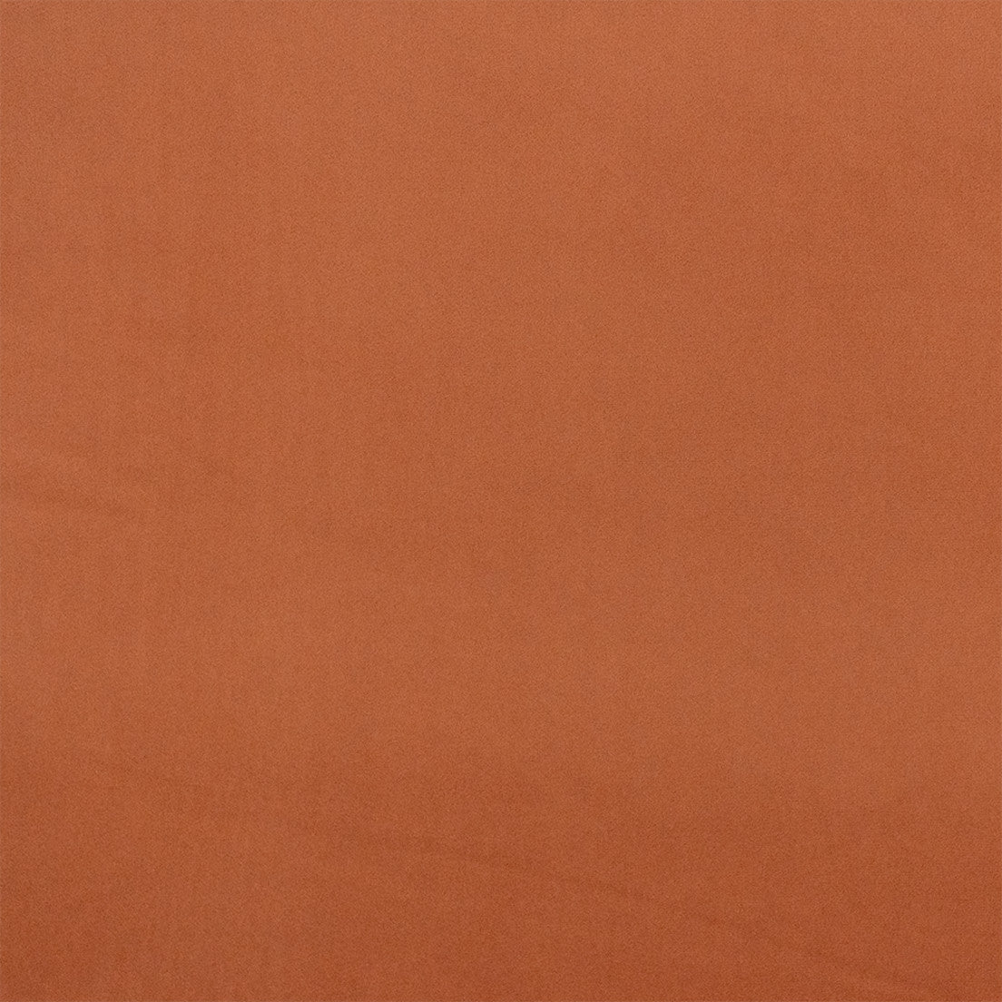 Purchase Greenhouse Fabric F6531 Nector