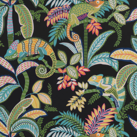 Purchase Thibaut Fabric Pattern Number F81674 Pattern Name Iggy From The Collection Locale. 