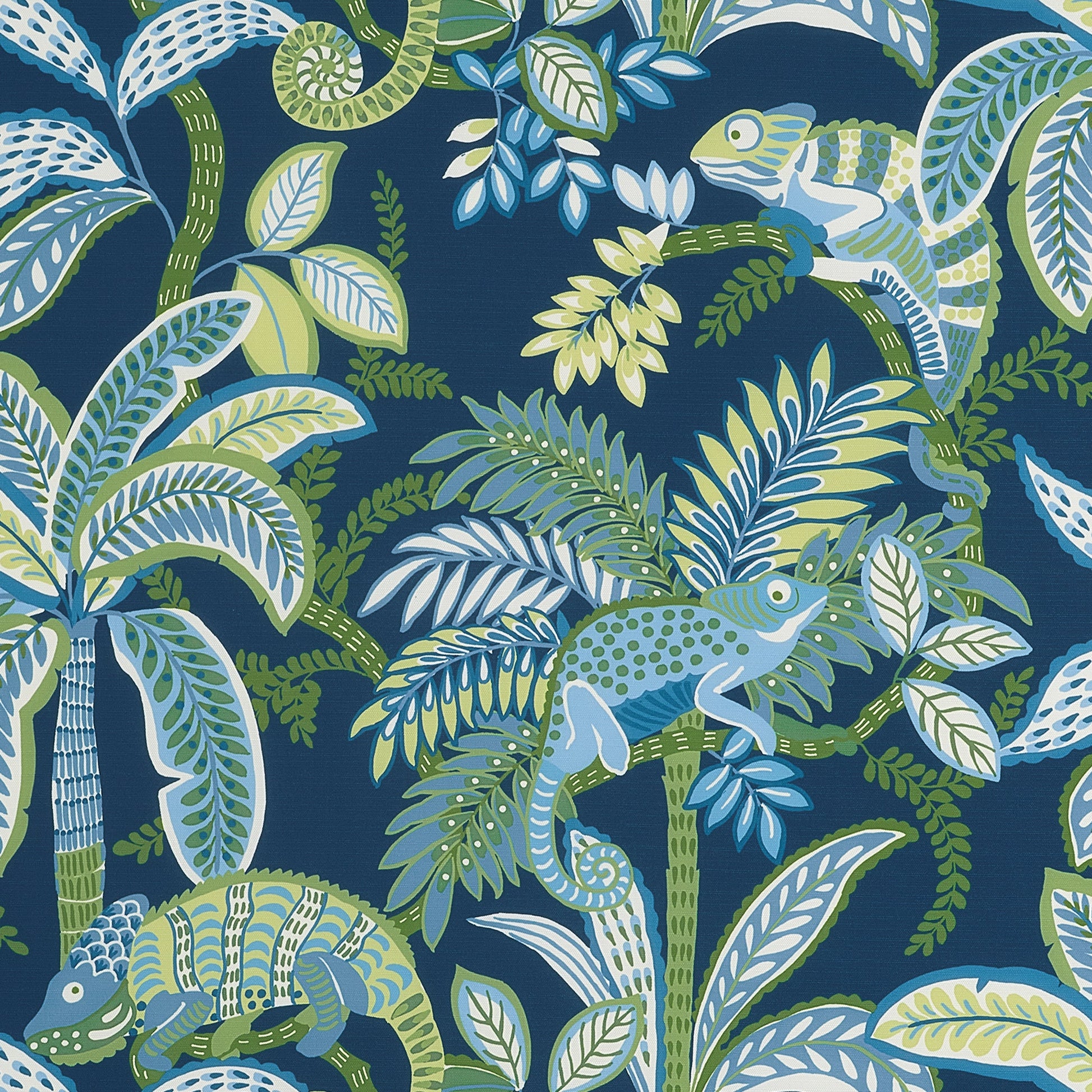 View Thibaut Fabric Product# F81677 Pattern Name Iggy From The Collection Locale. 