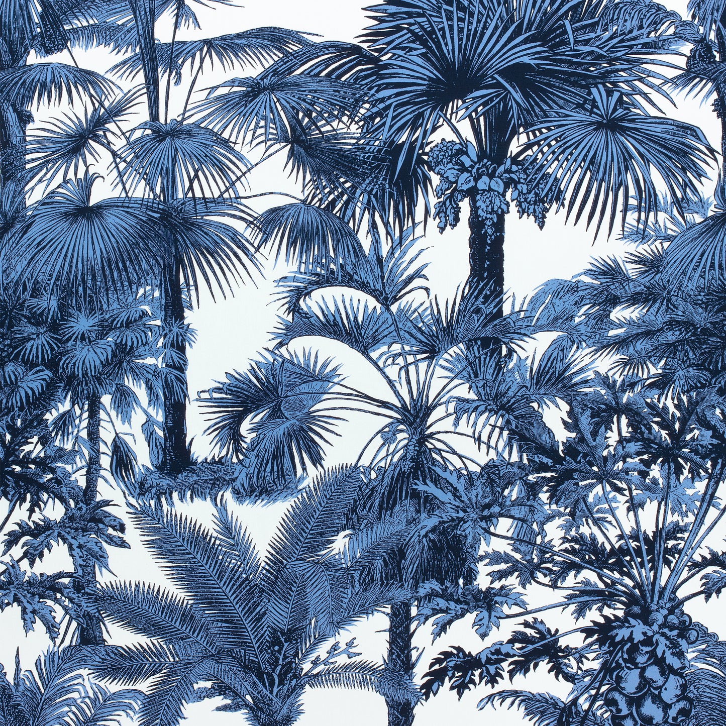 Buy samples of F910100 Palm Botanical Printed Tropics Thibaut Fabrics