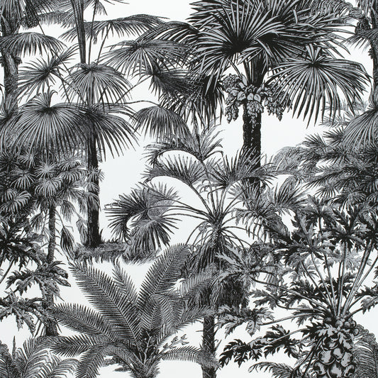 Buy samples of F910102 Palm Botanical Printed Tropics Thibaut Fabrics
