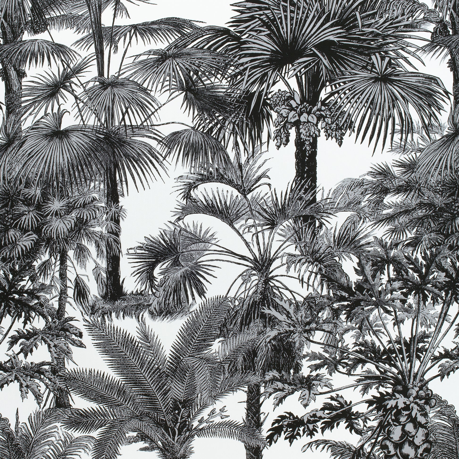 Buy samples of F910102 Palm Botanical Printed Tropics Thibaut Fabrics