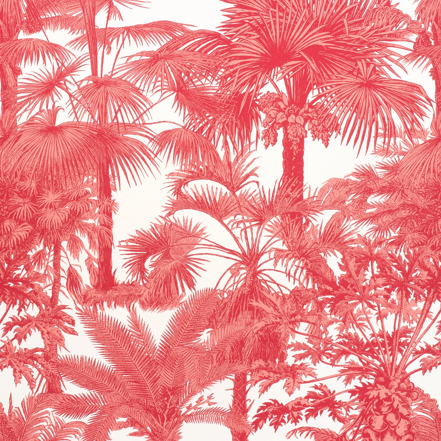 Buy samples of F910105 Palm Botanical Printed Tropics Thibaut Fabrics