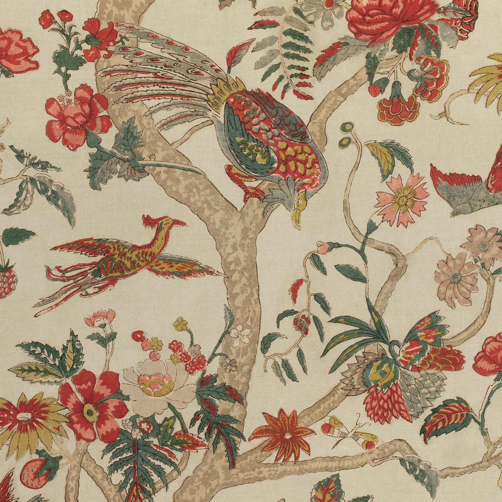 Buy samples of F910228 Coromandel Printed Colony Thibaut Fabrics