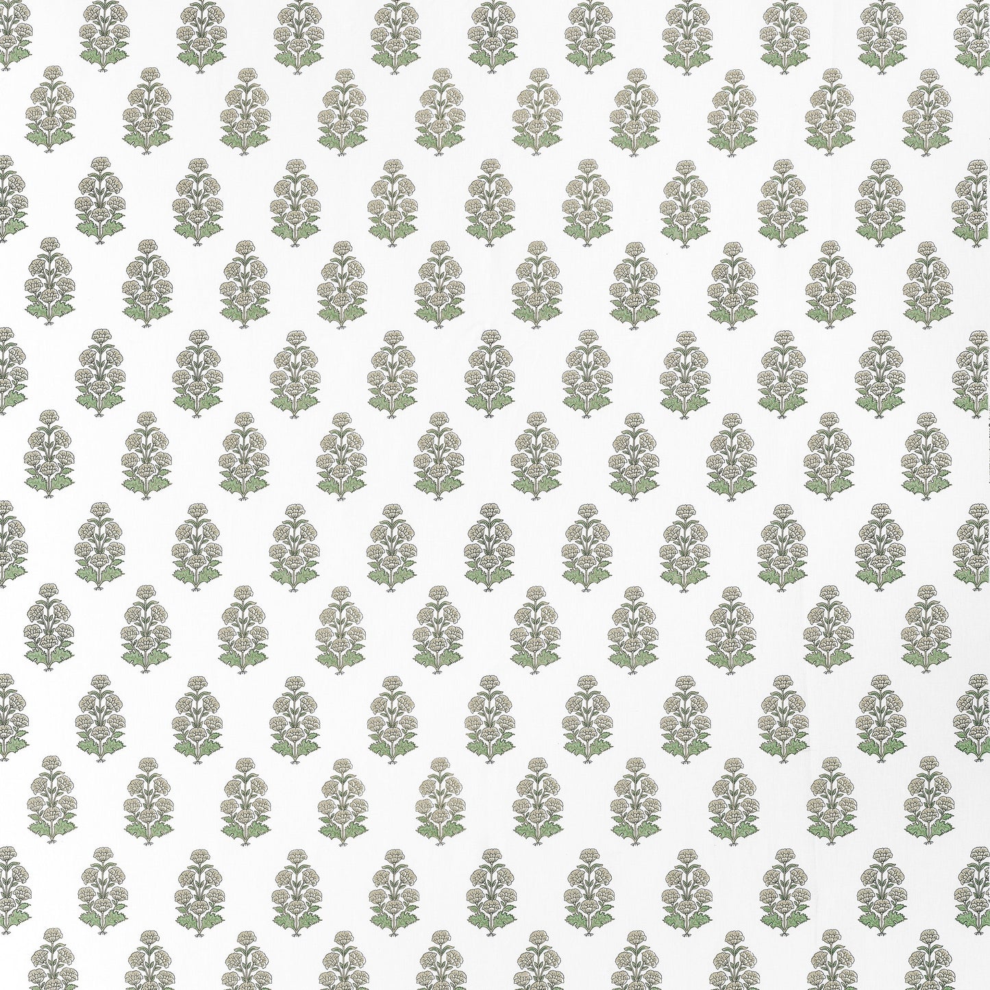 Looking For Thibaut Fabric Pattern F910522 Pattern Name Audrey From The Collection Boxwood Fabric Book. 