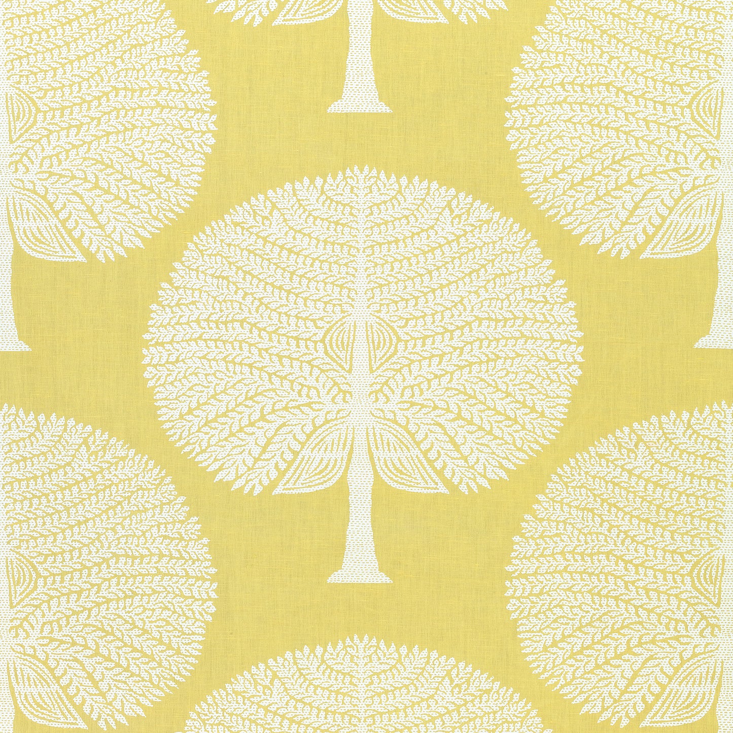 Buy samples of F910605 Mulberry Tree Printed Ceylon Thibaut Fabrics