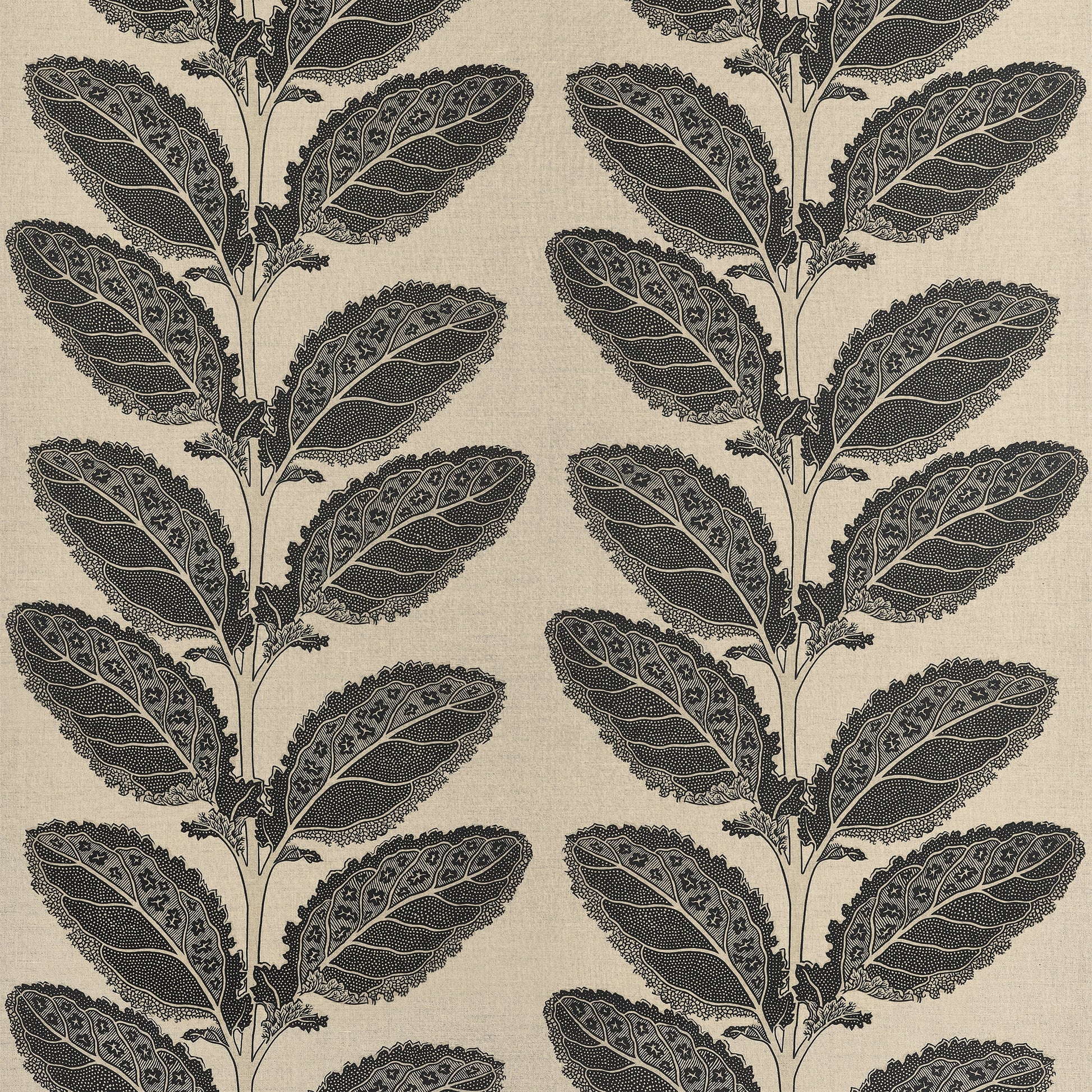 Order Thibaut Fabric Item F912038 Pattern Name Lacinato From The Collection Vista Fabric Book. 