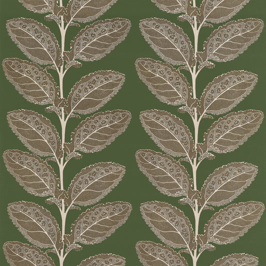 Looking For Thibaut Fabric Pattern F912040 Pattern Name Lacinato From The Collection Vista Fabric Book. 