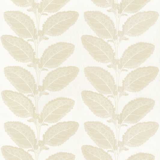Find Thibaut Fabric Sku F912041 Pattern Name Lacinato From The Collection Vista Fabric Book. 