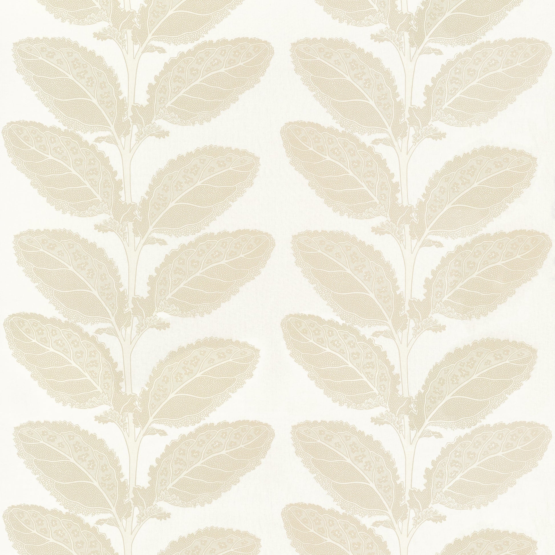 Find Thibaut Fabric Sku F912041 Pattern Name Lacinato From The Collection Vista Fabric Book. 