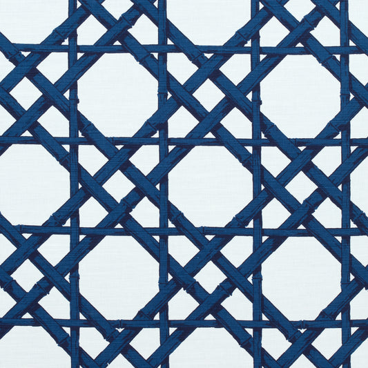 Buy samples of F913139 Cyrus Cane Printed Summer House Thibaut Fabrics