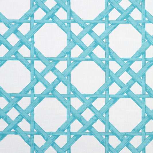 Buy samples of F913143 Cyrus Cane Printed Summer House Thibaut Fabrics