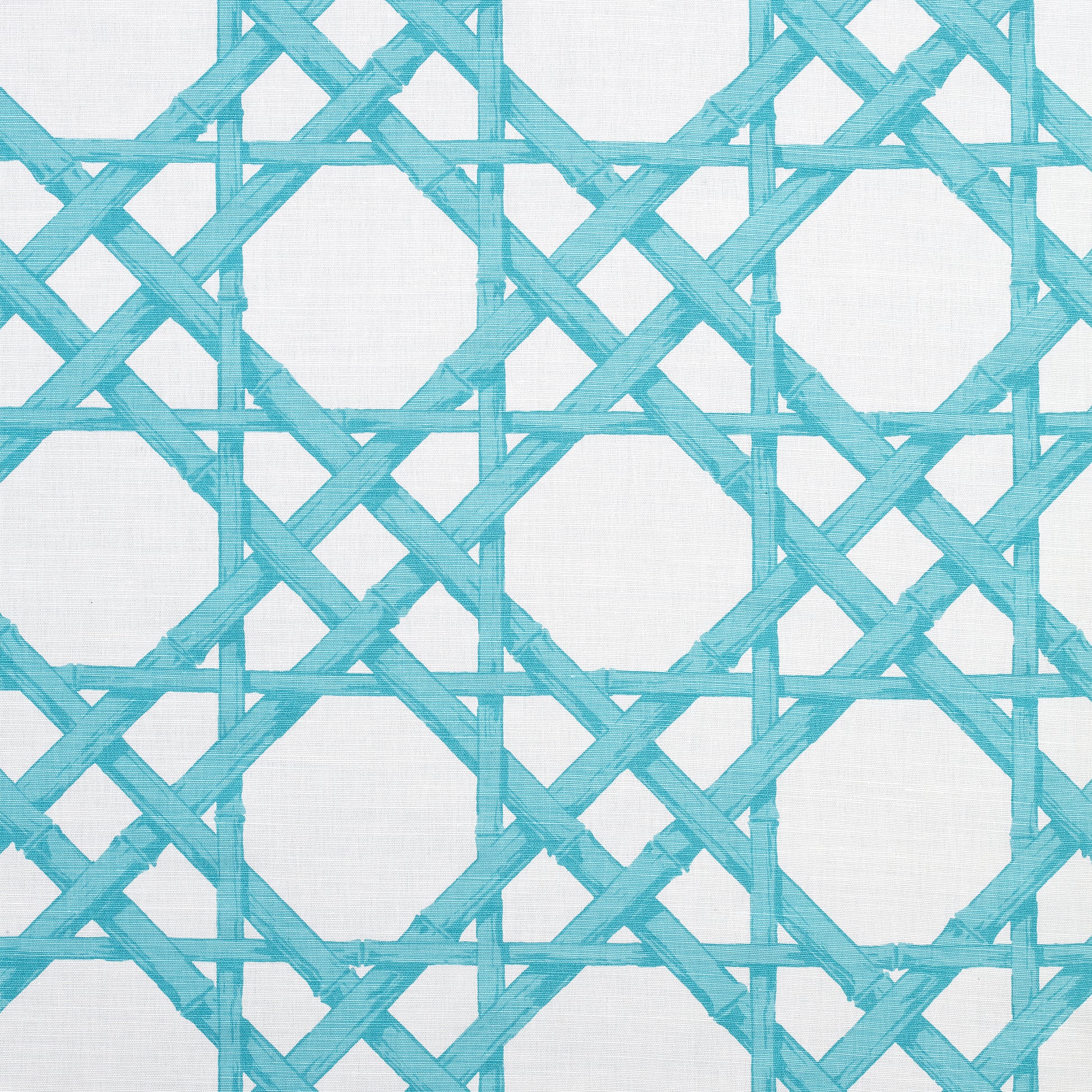 Buy samples of F913143 Cyrus Cane Printed Summer House Thibaut Fabrics