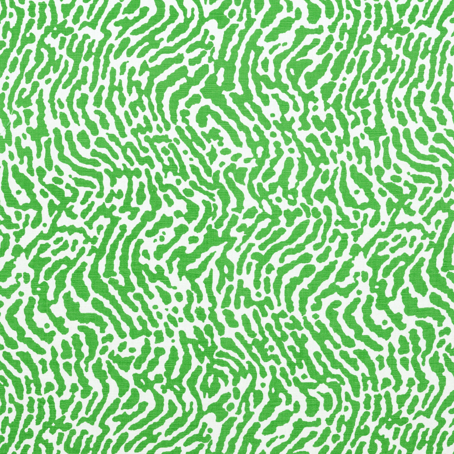 Buy samples of F913150 St. Croix Printed Summer House Thibaut Fabrics