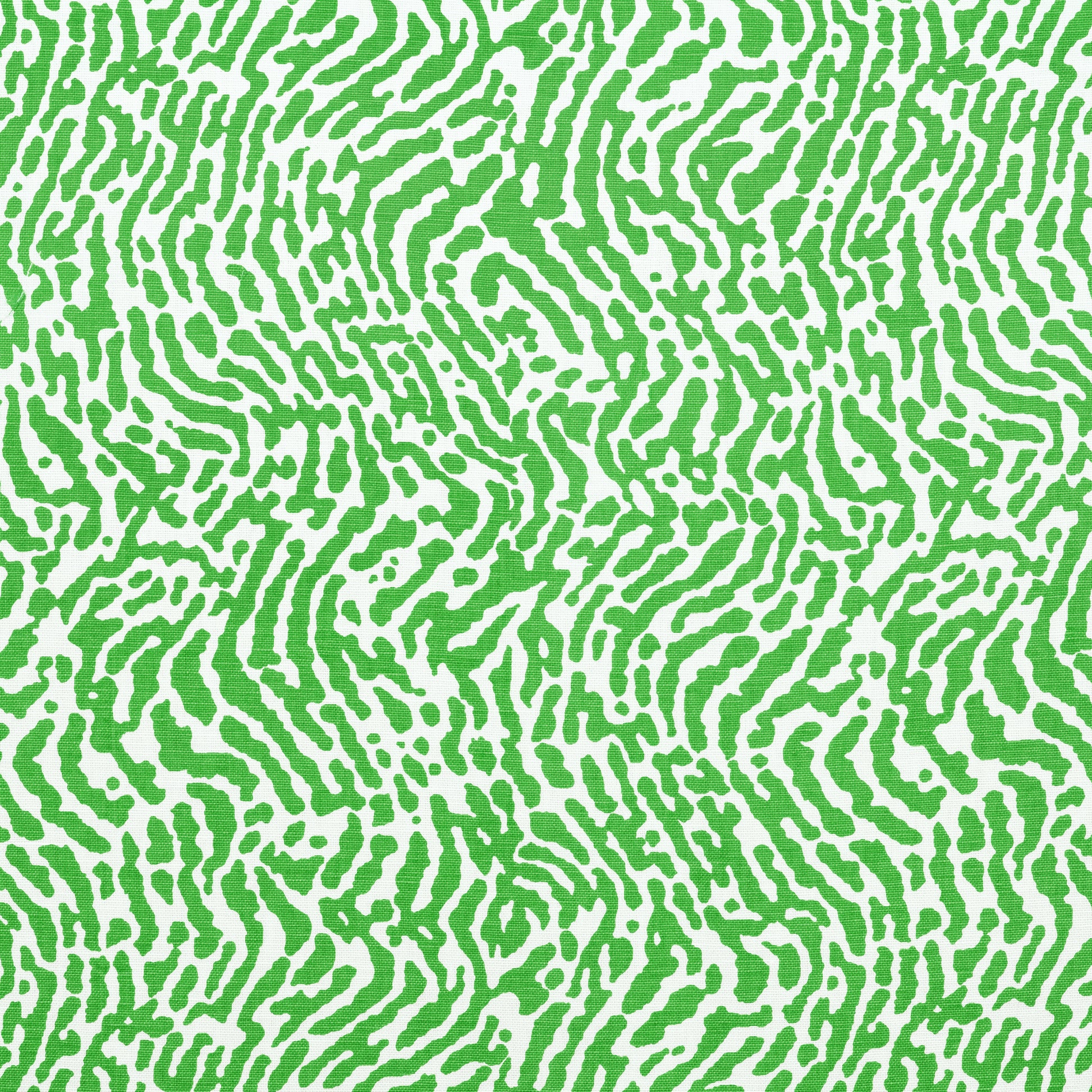 Buy samples of F913150 St. Croix Printed Summer House Thibaut Fabrics