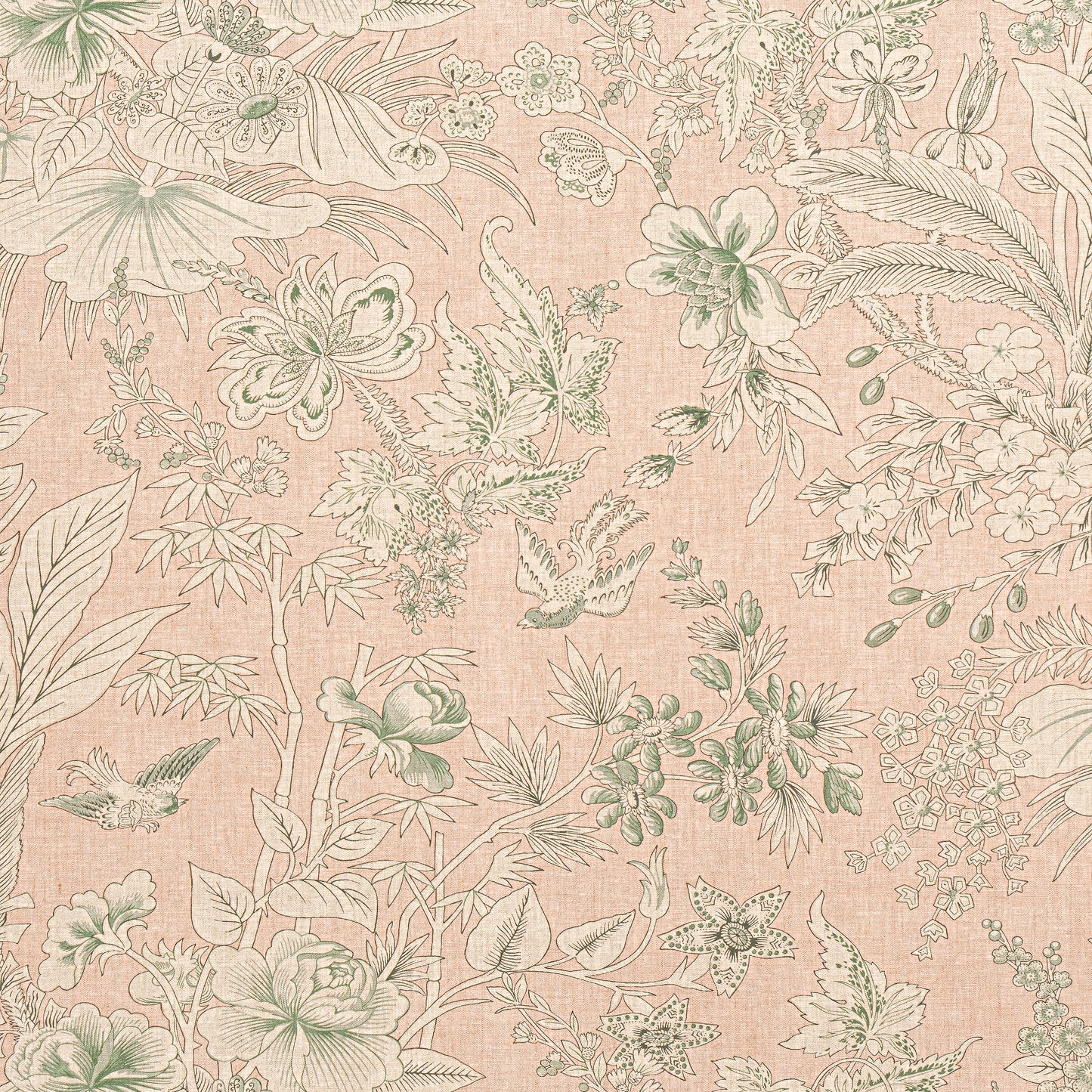 Purchase Thibaut Fabric SKU F913600 pattern name Rosalind color Blush