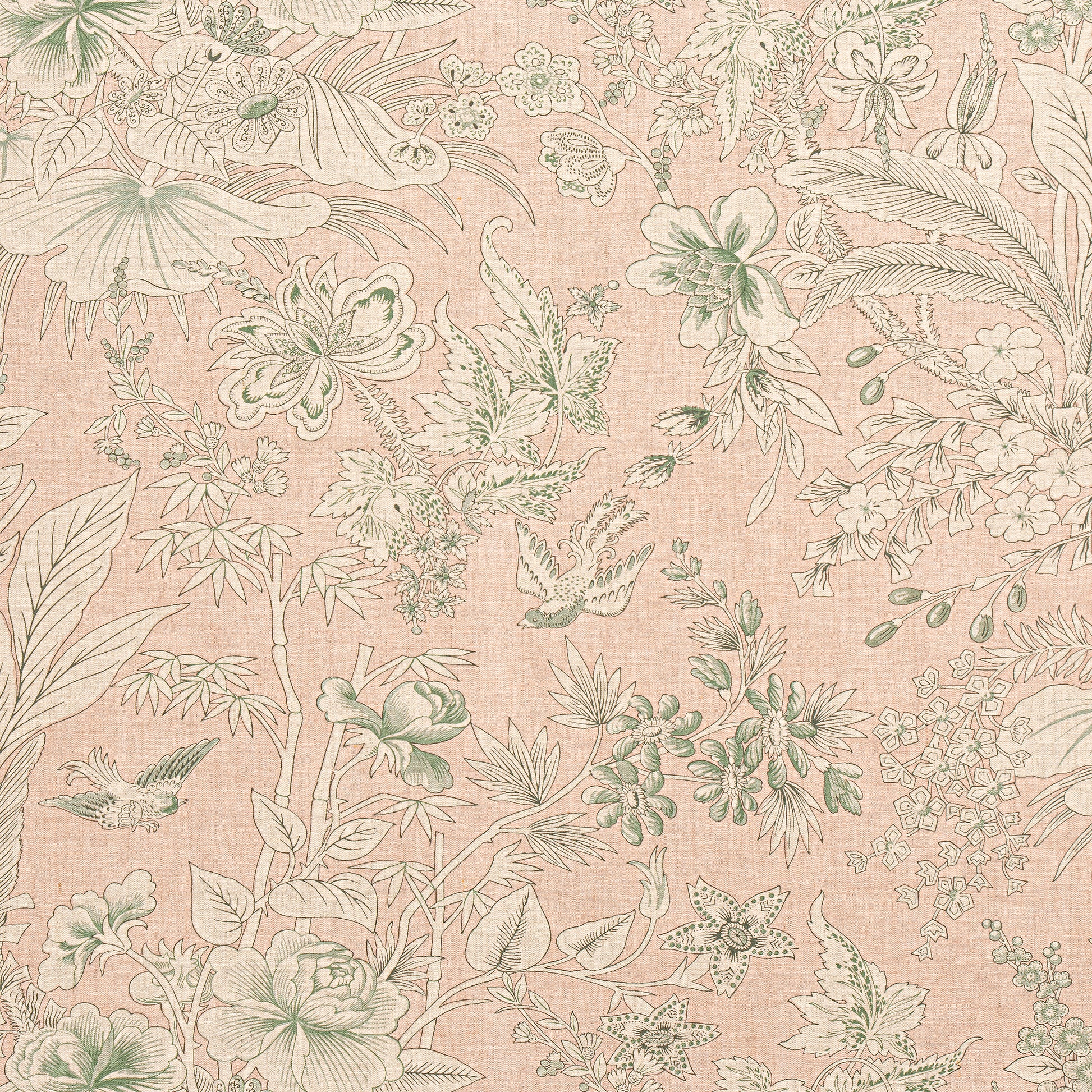 Purchase Thibaut Fabric SKU F913600 pattern name Rosalind color Blush