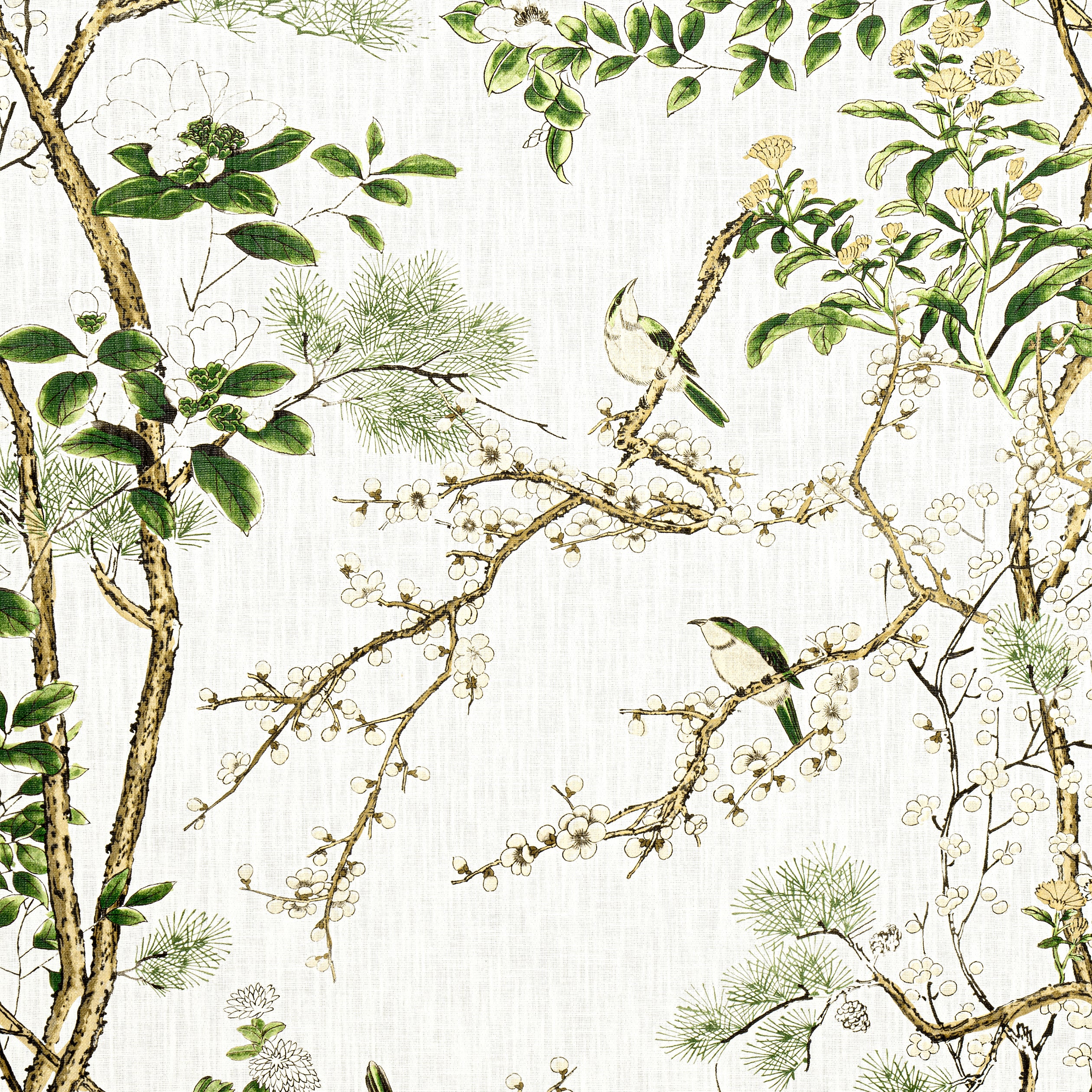 F913621 | Katsura, Green and White - Thibaut Fabric