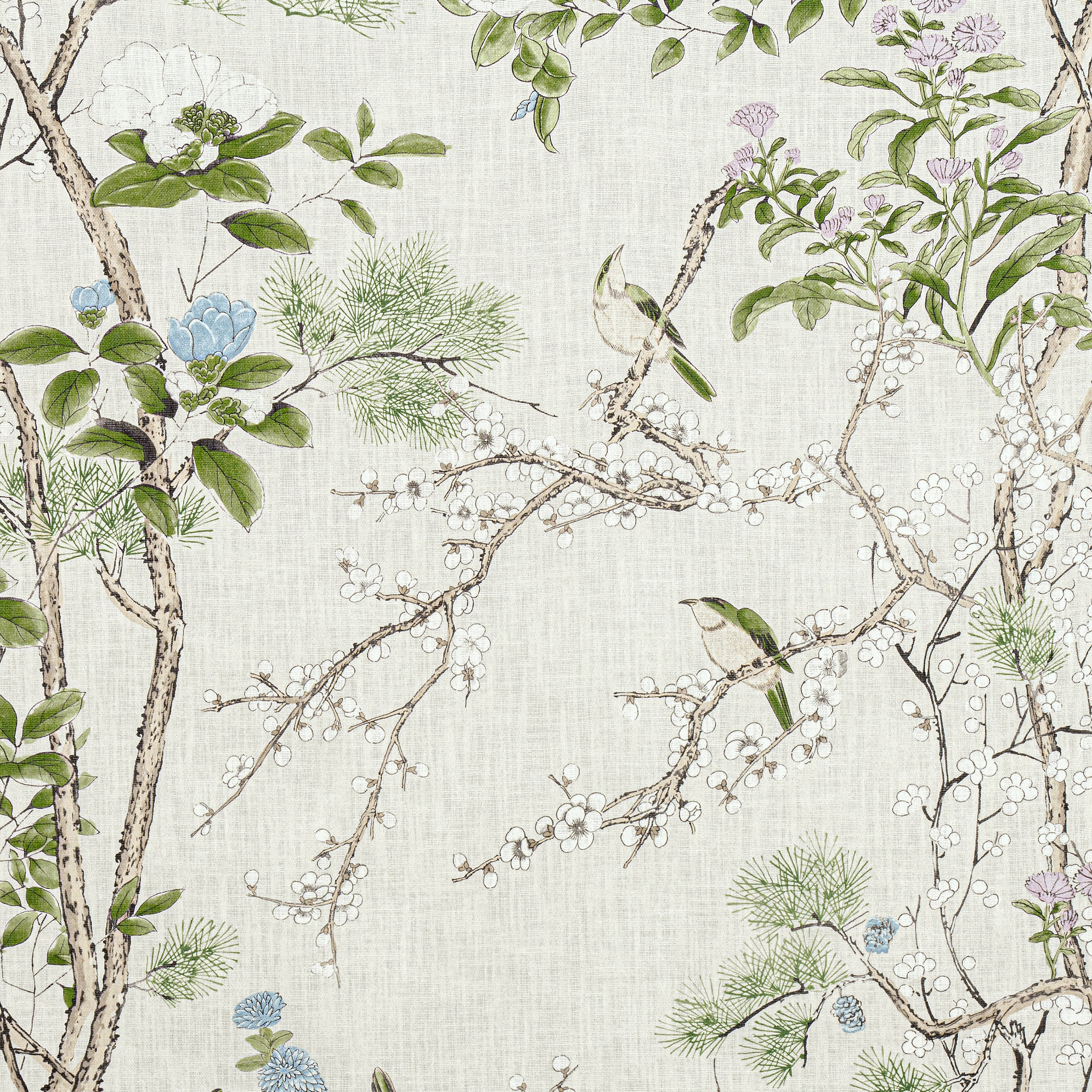 Thibaut fabric outlet