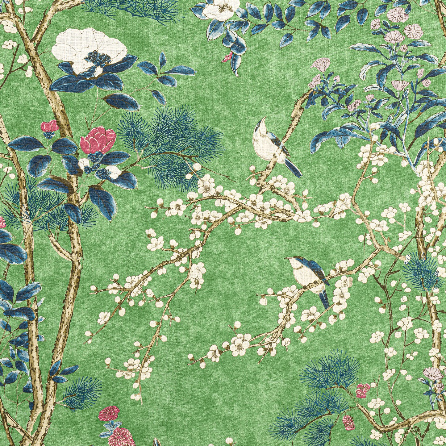 Purchase Thibaut Fabric SKU# F913623 pattern name Katsura color Green