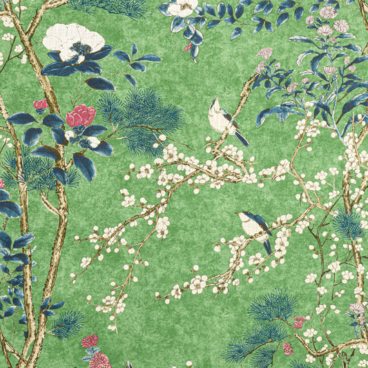 Purchase Thibaut Fabric SKU# F913623 pattern name Katsura color Green
