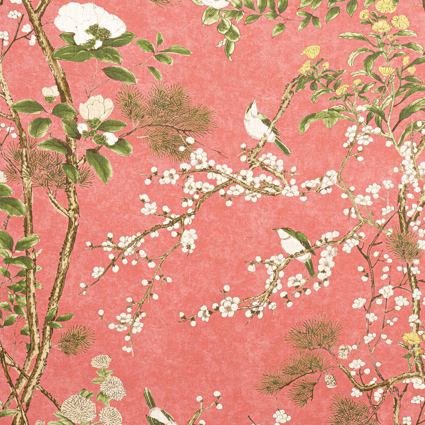 Purchase Thibaut Fabric Item F913624 pattern name Katsura color Coral