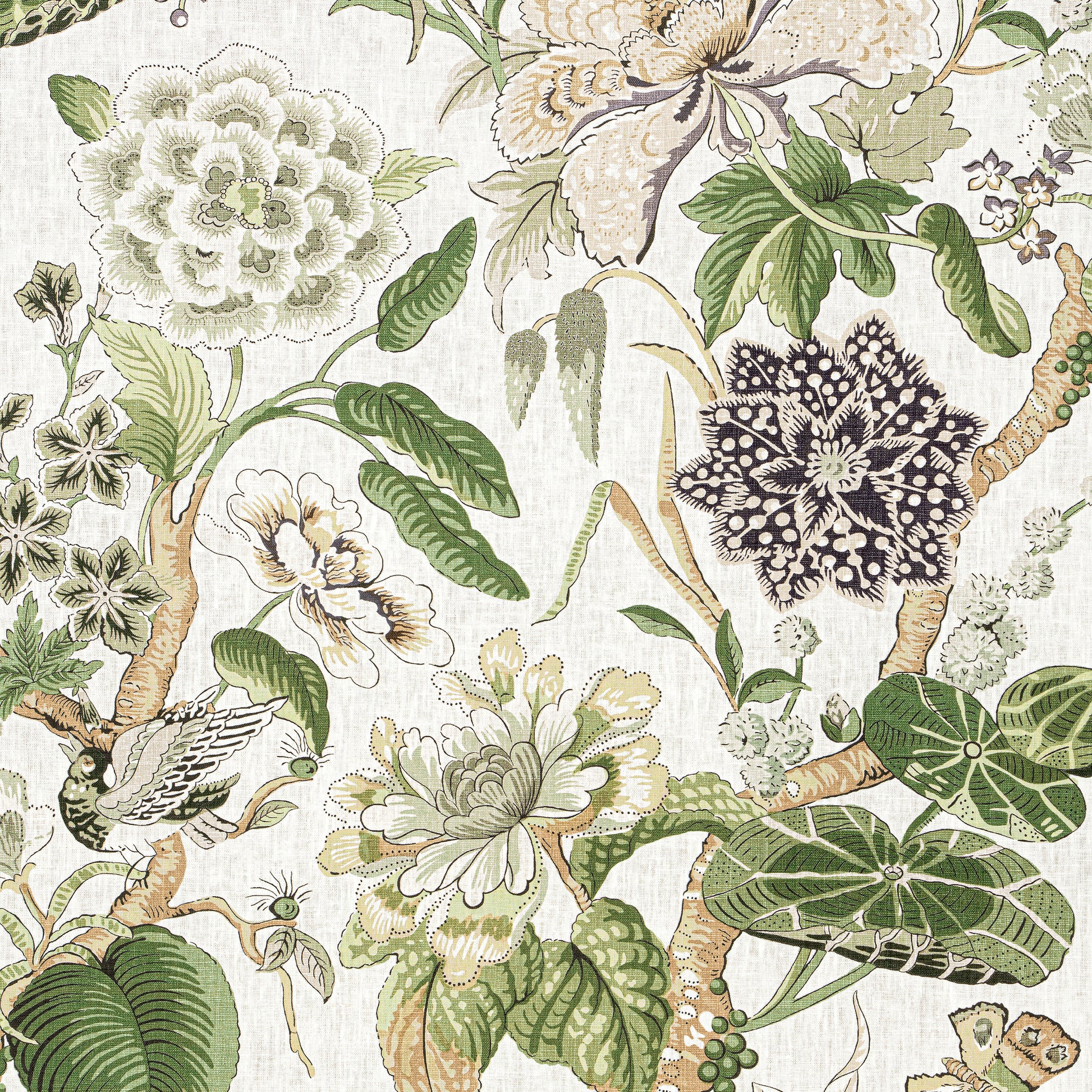 Purchase Thibaut Fabric Pattern F913656 pattern name Hill Garden color White and Green