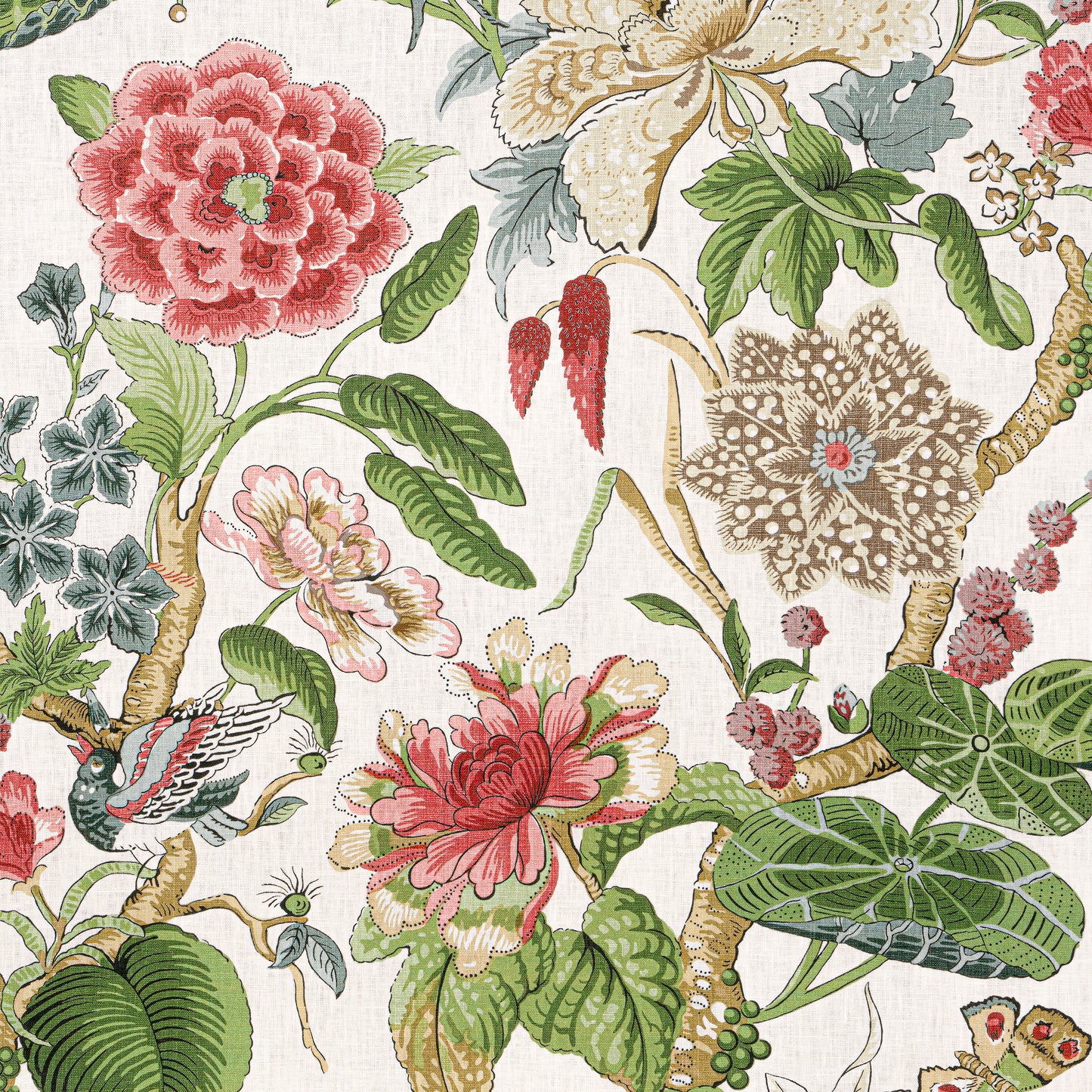 Purchase Thibaut Fabric Pattern# F913658 pattern name Hill Garden color Coral and Green