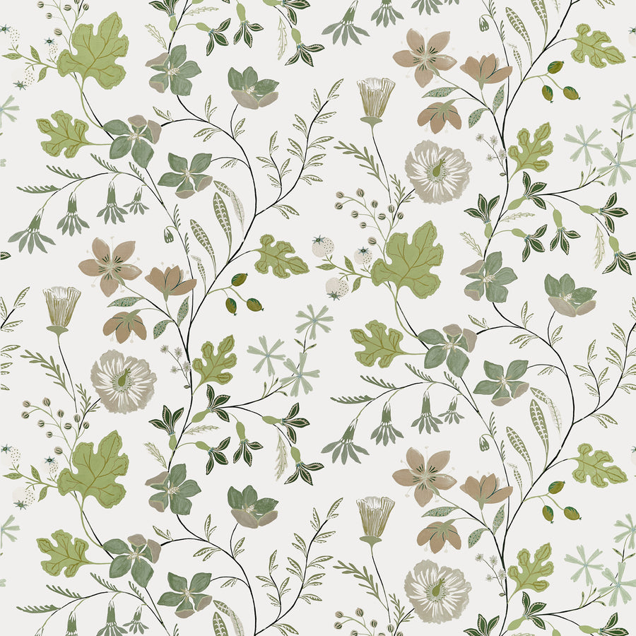 Search Thibaut Fabric Product F914625 pattern name Bloom color name Sage.