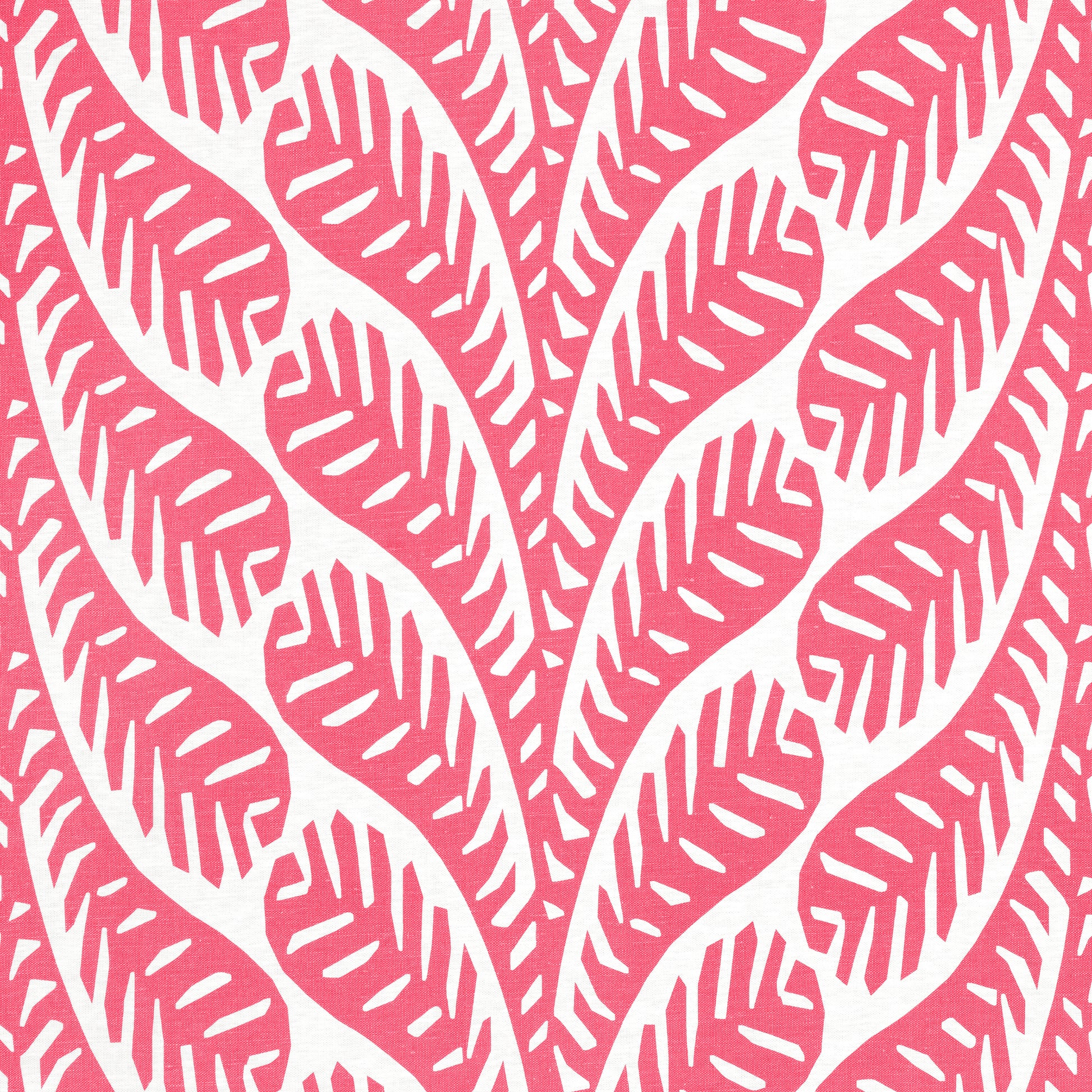 Purchase Thibaut Fabric Item# F920831 pattern name Ginger color Pink