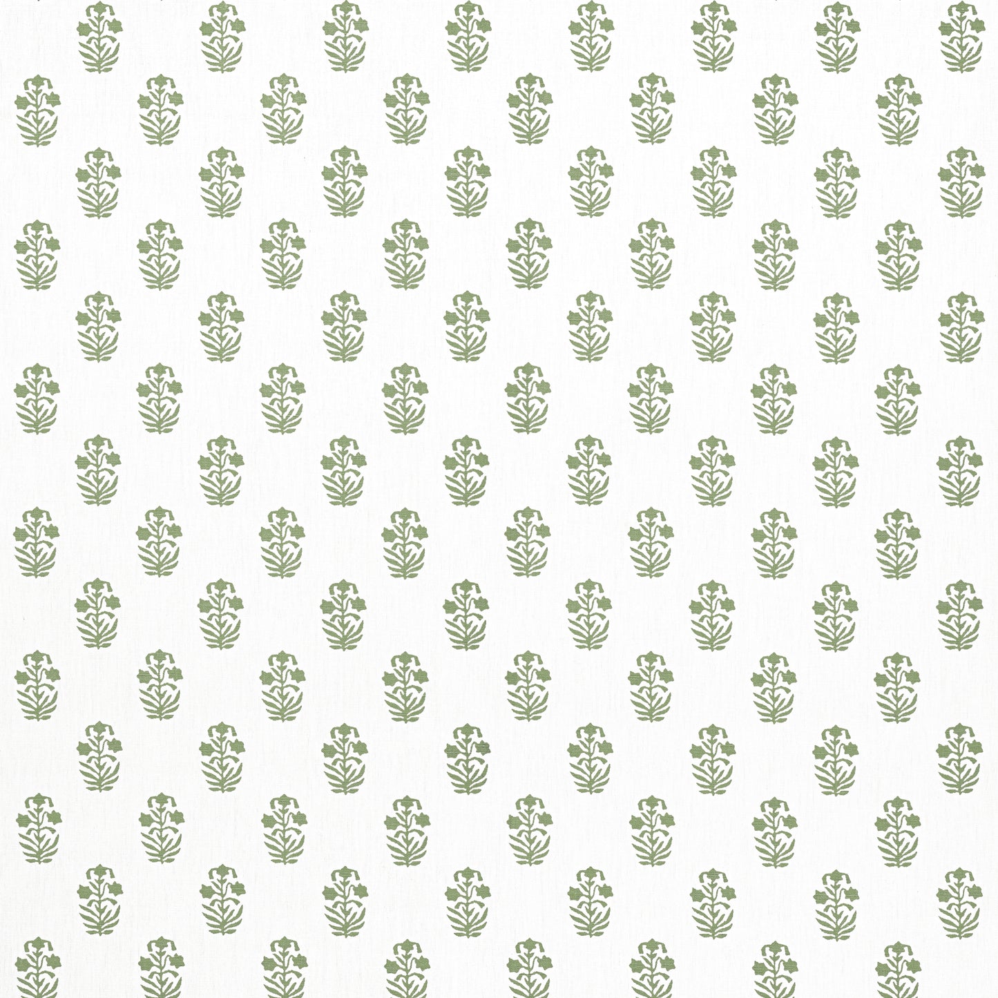 Purchase Thibaut Fabric Product F936402 pattern name Corwin color Green on White