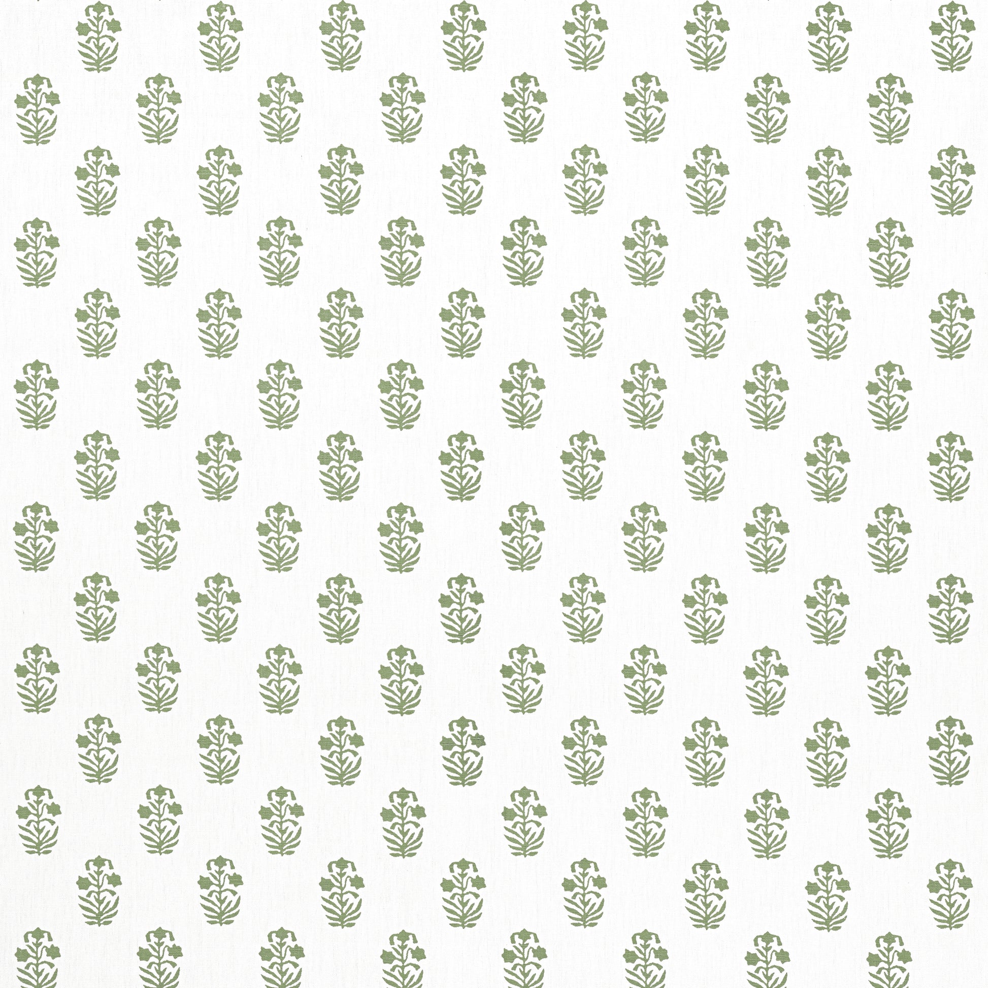 Purchase Thibaut Fabric Product F936402 pattern name Corwin color Green on White