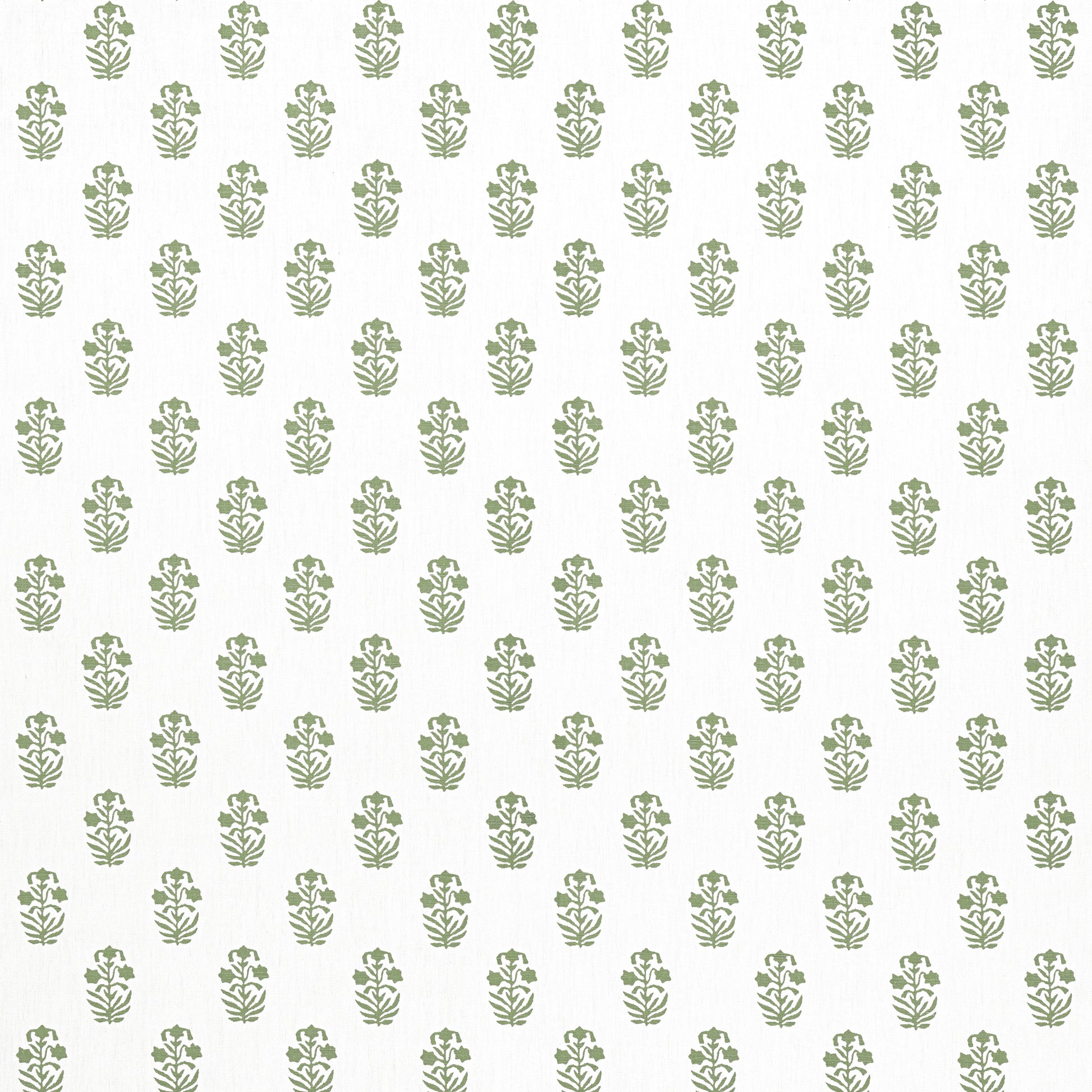 Purchase Thibaut Fabric Product F936402 pattern name Corwin color Green on White